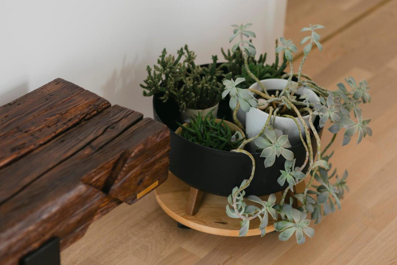 The Forest - Luxe Central Apt With Free Secured Parking Braşov Extérieur photo